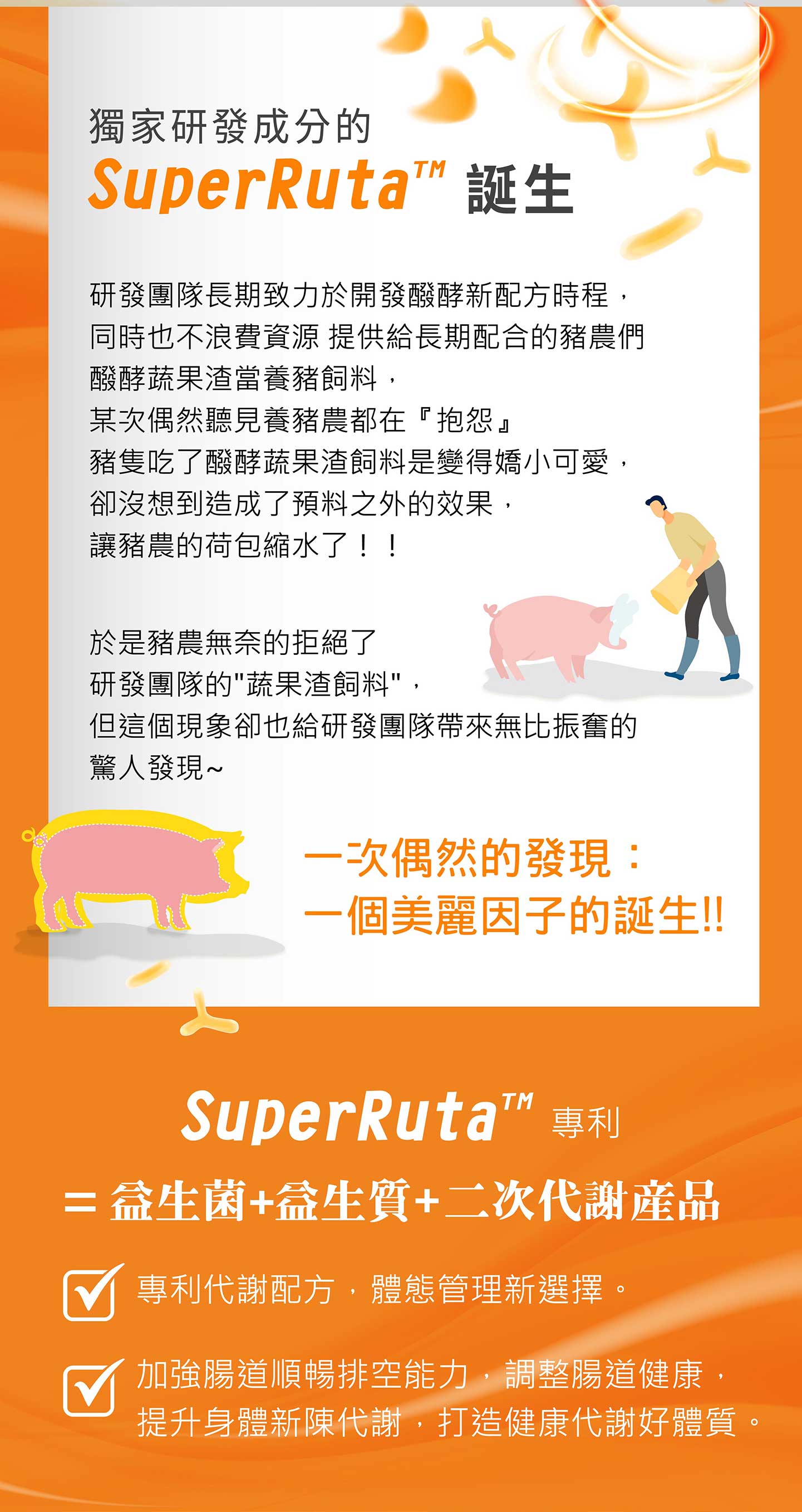 SuperRuta™-02